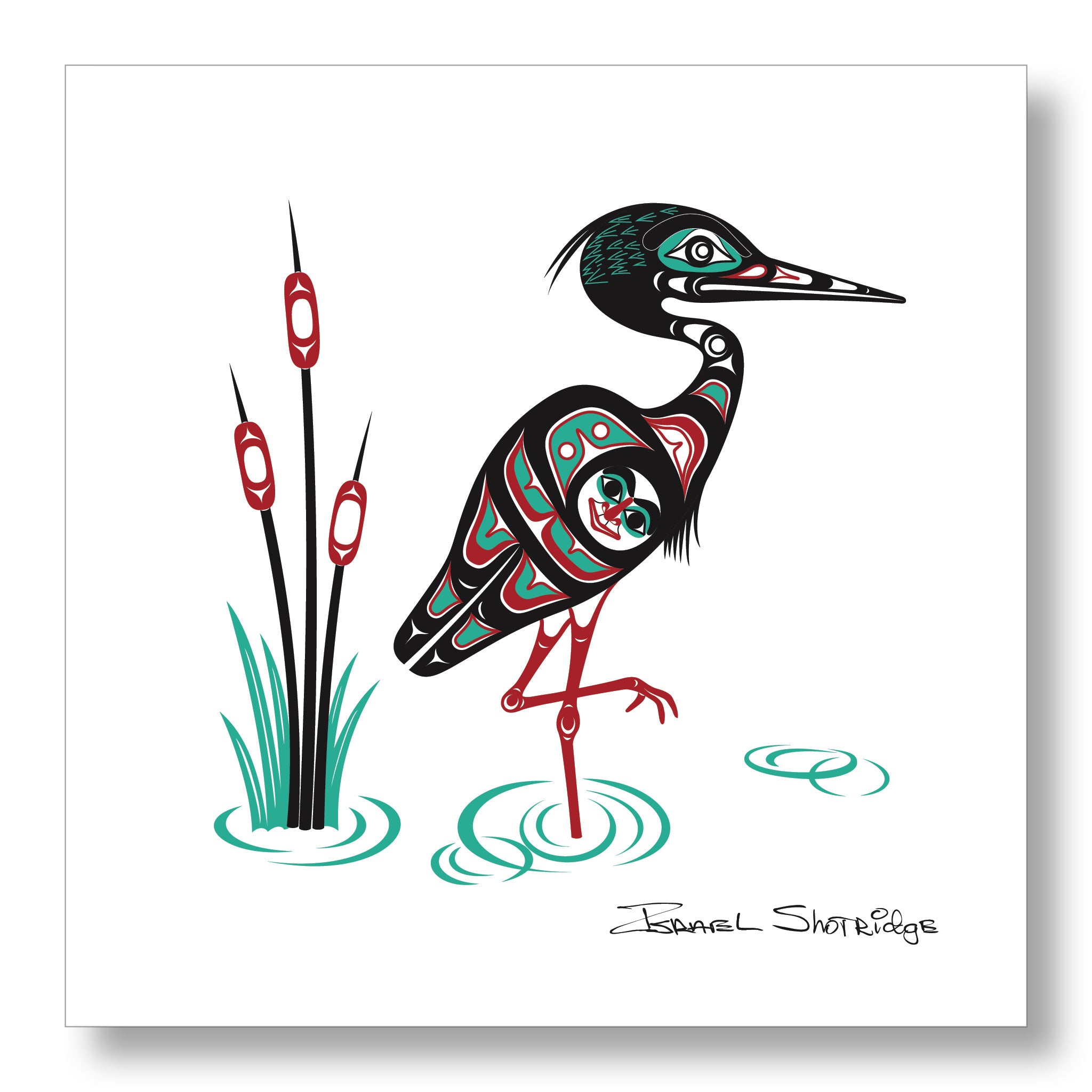 Northwest Native American Art Bird