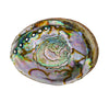 Abalone Shell